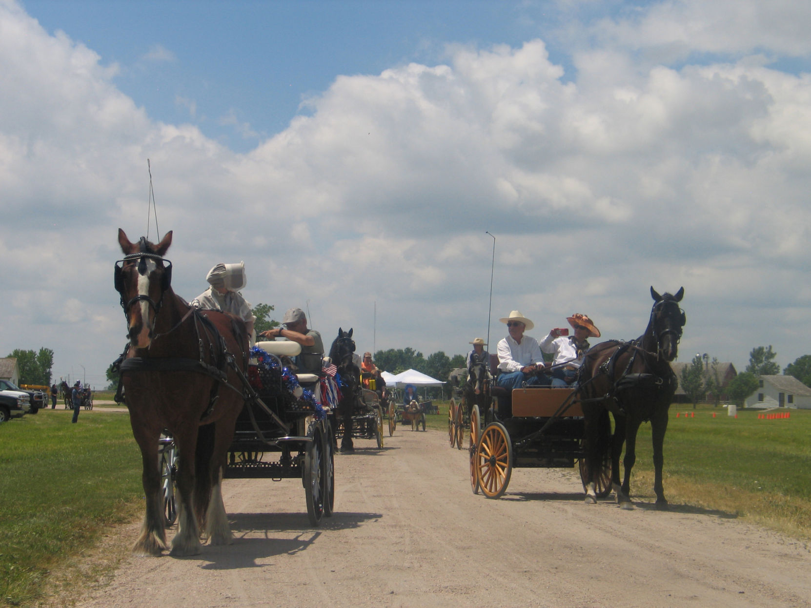 06 20 HORSES 03.JPG